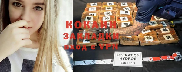 мет Алексин