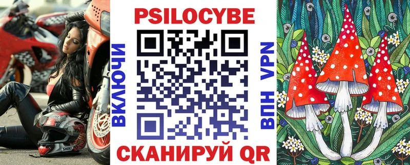 купить закладку Подольск Псилоцибиновые грибы прущие грибы