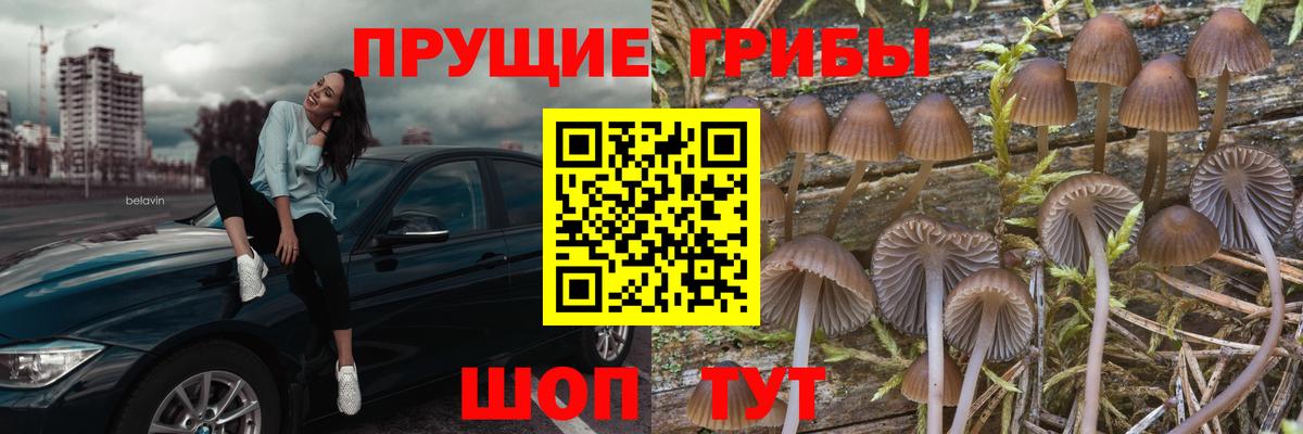 купить наркотик  Вход с VPN  Подольск  Псилоцибиновые грибы Magic Shrooms 